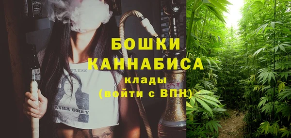 амф Верея