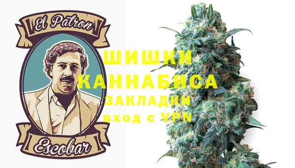 амф Верея
