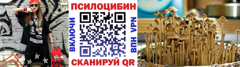 Псилоцибиновые грибы прущие грибы  Чёрмоз 